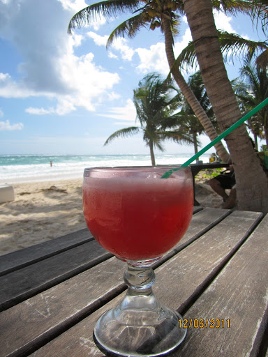 DIY SOURDOUGH STARTER - HOW TO TAME WILD YEASTS