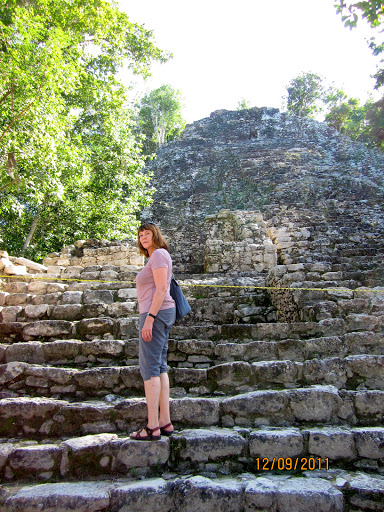 DIY SOURDOUGH STARTER - HOW TO TAME WILD YEASTS