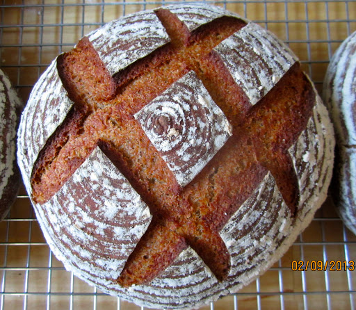 DIY SOURDOUGH STARTER - HOW TO TAME WILD YEASTS