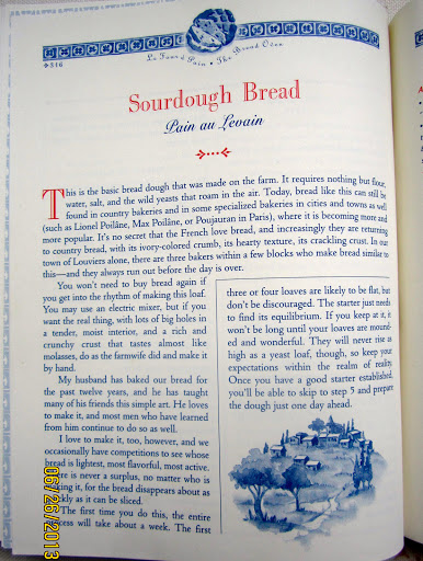 DIY SOURDOUGH STARTER - HOW TO TAME WILD YEASTS